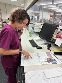 Pharmacy staff member reviewing paperwork at the pharmacy counter